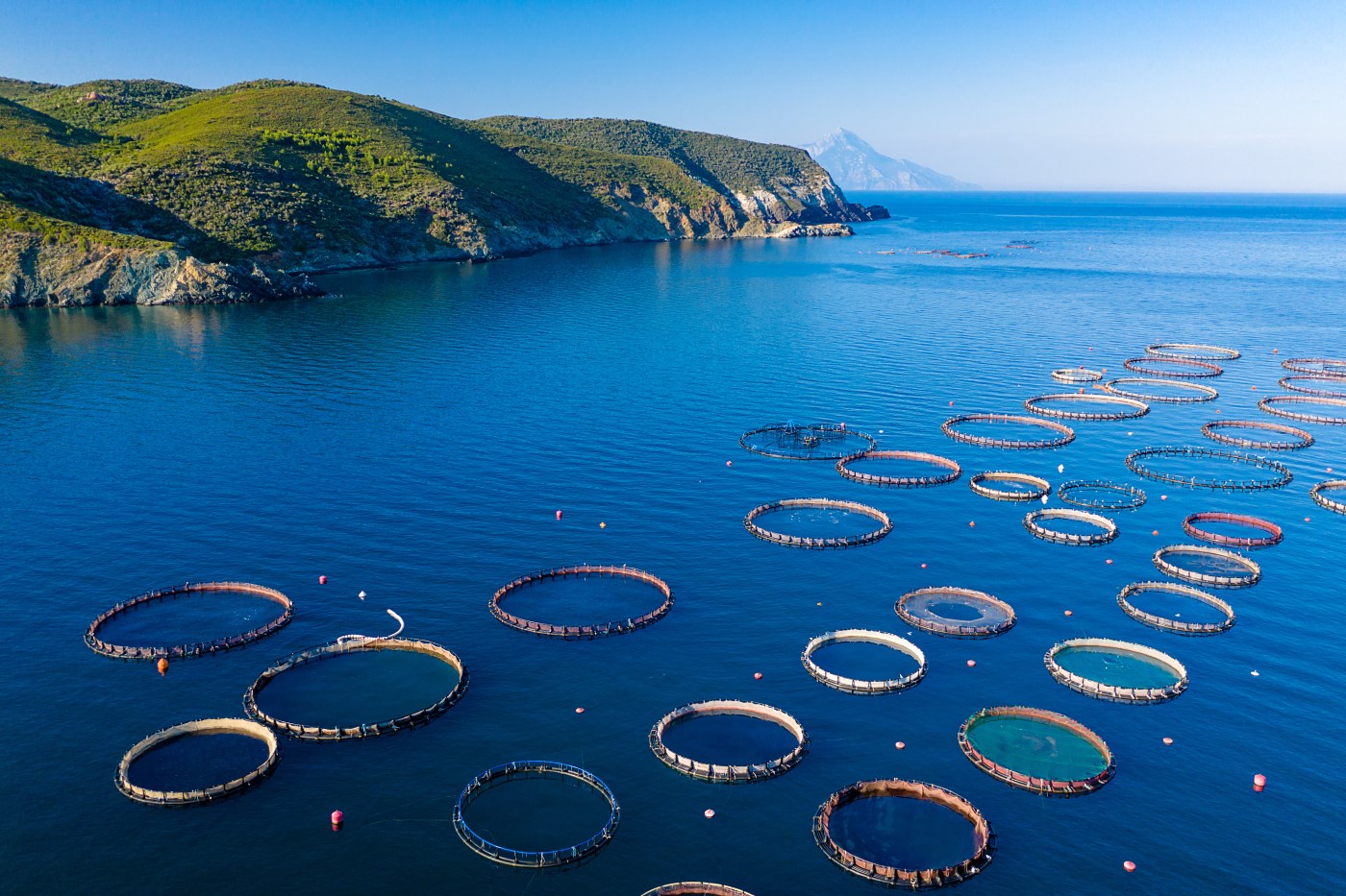 Aquacultura e pesca