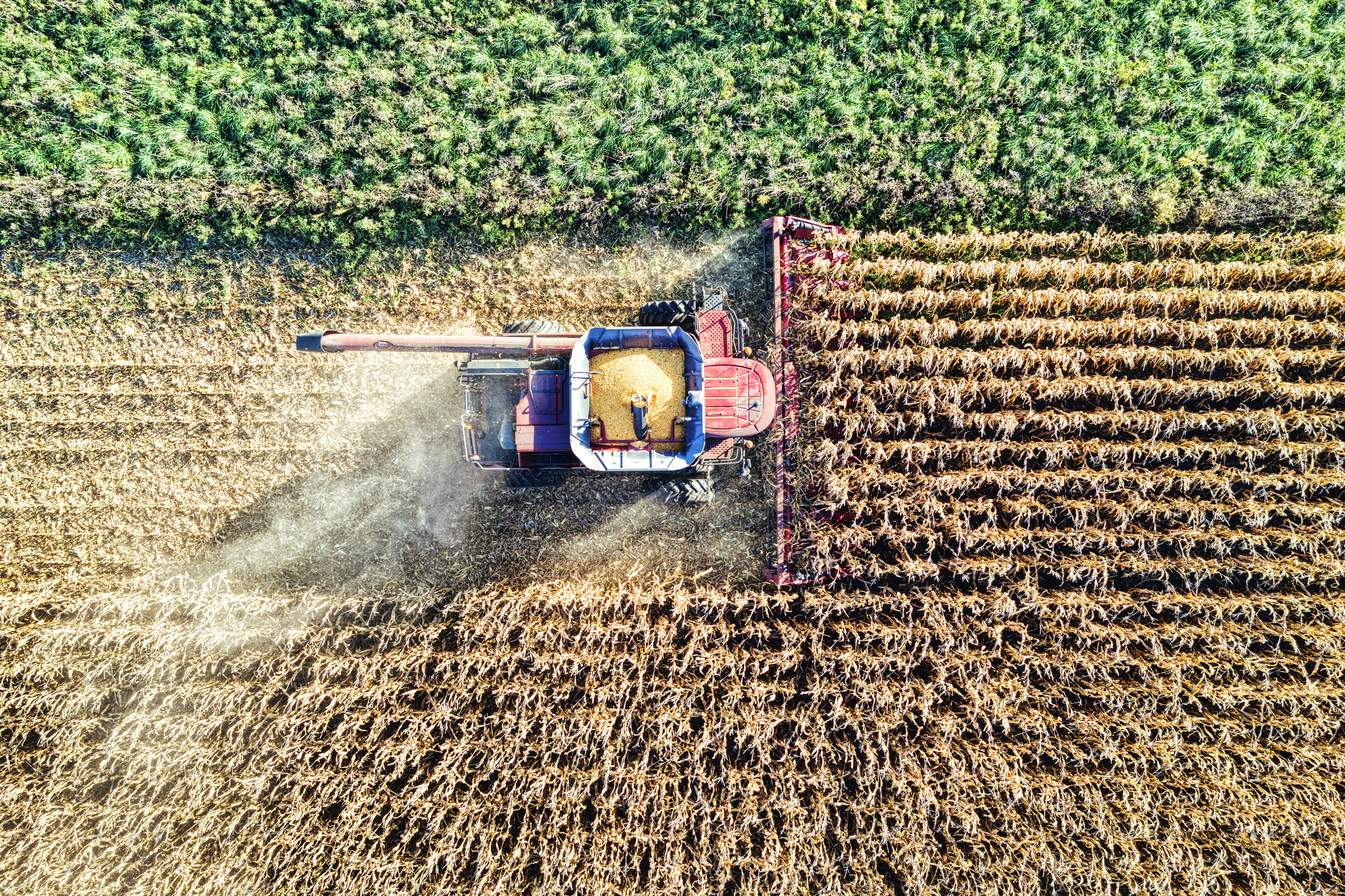 Agri2 Agri2