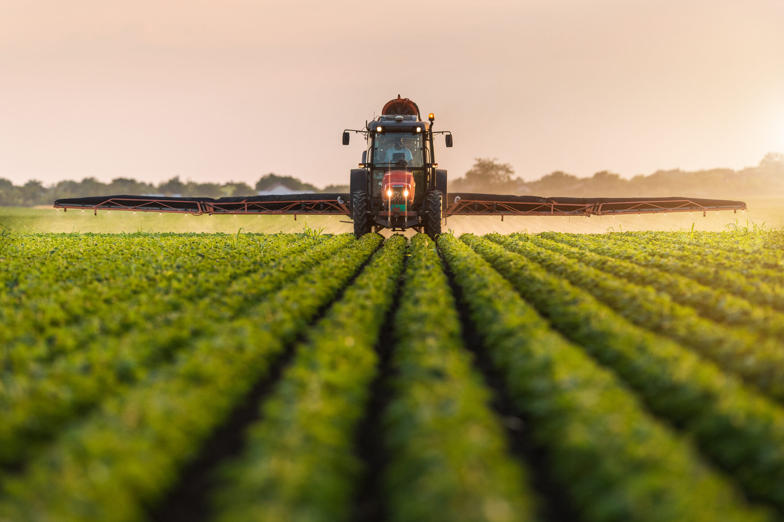 Agricultura orgânica